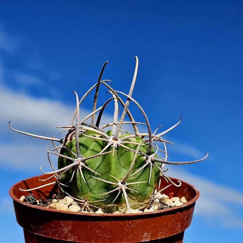 1000012056.jpg